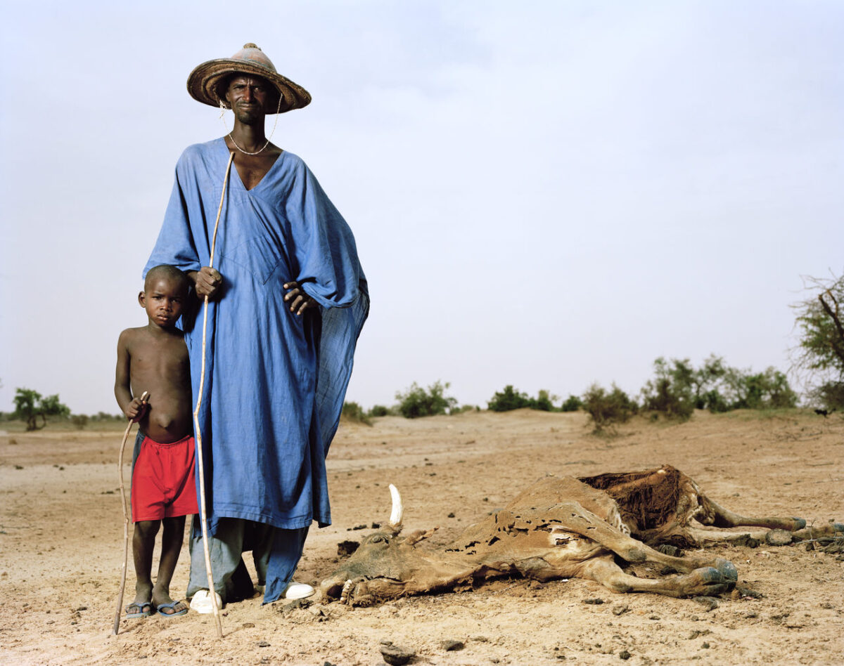 Afrika Klimakrise Go Green