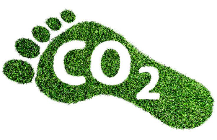 Kategorie Umweltschutz gogreen.jpg