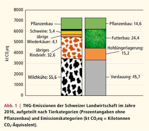 Grosse Emissionen der Milchkühe - tierische Produkte sind ein Klimaproblem.