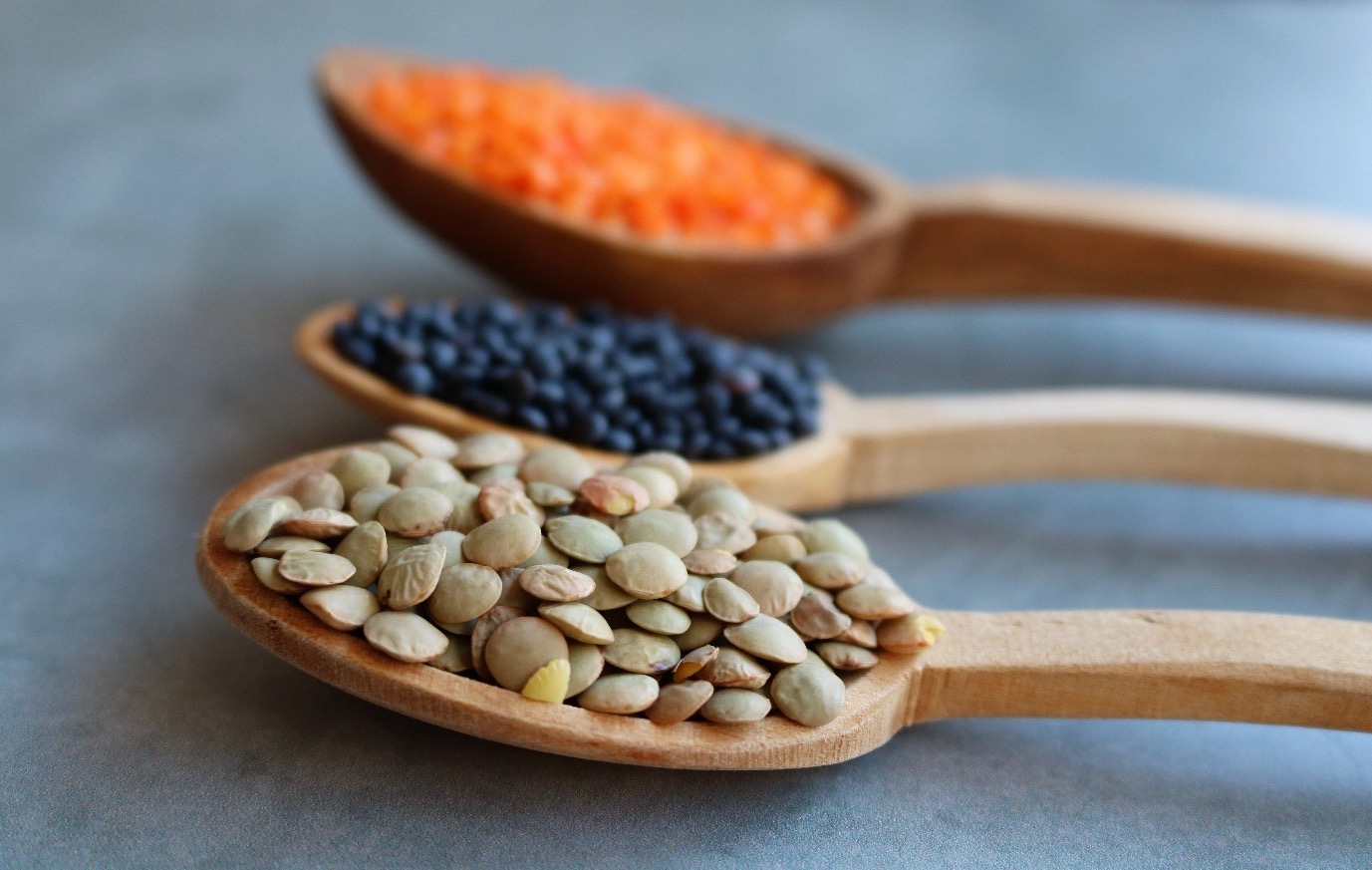 Proteine aus Pflanzen Linsen gogreen