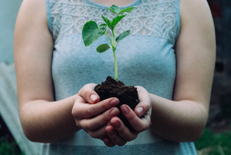 Der Impact Fund wemakeit gogreen