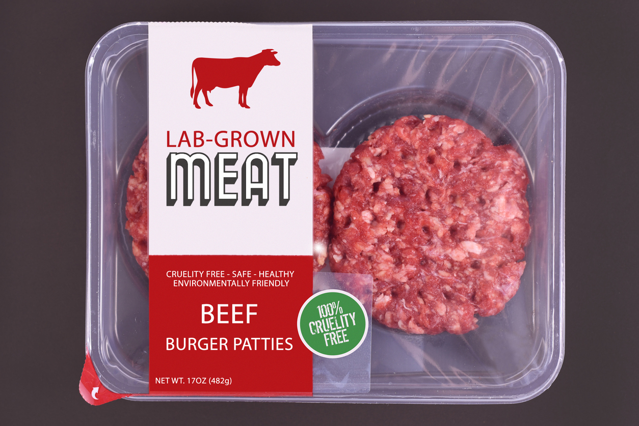 In-vitro-Fleisch