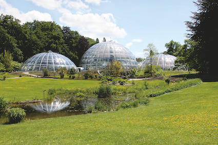 Botanica Klimawandel