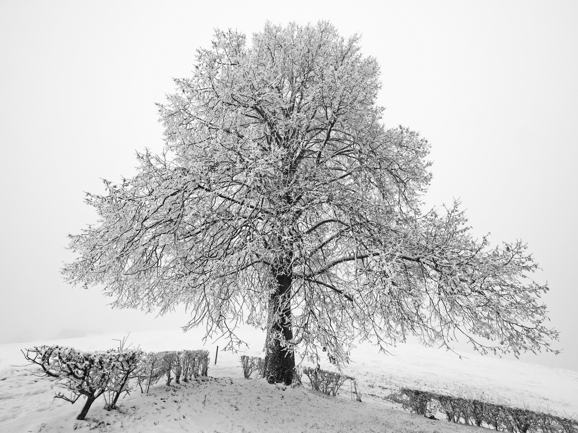 Schnee Schweiz