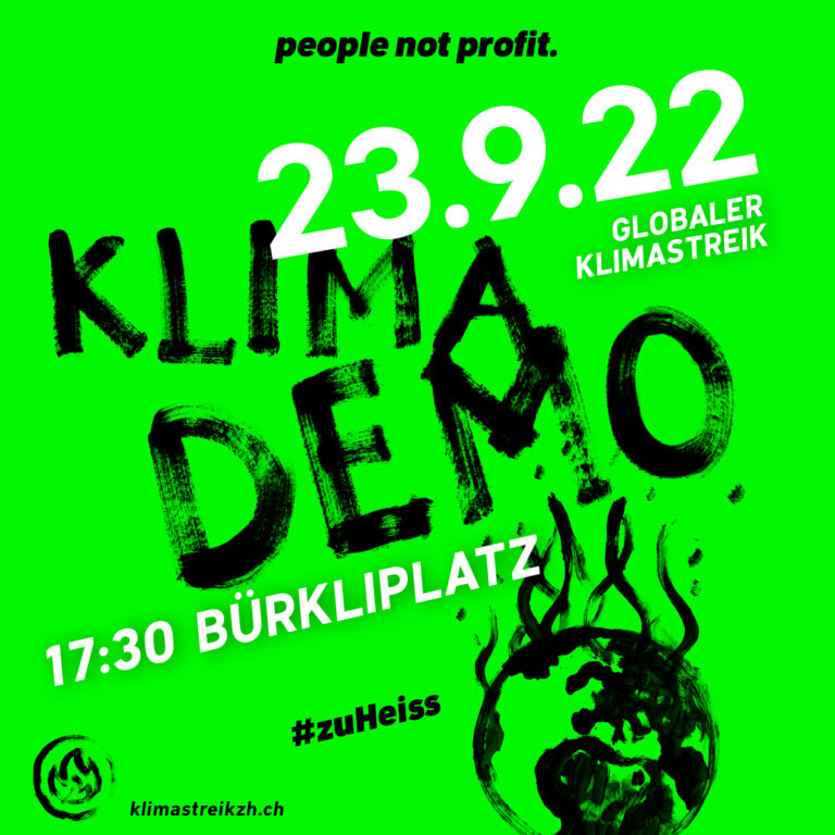 Klimademo Zürich