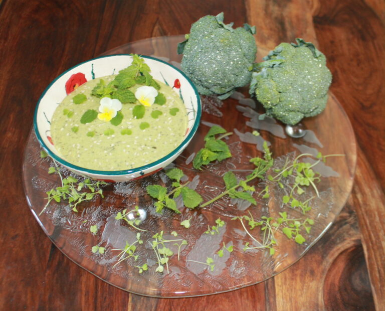 Vegane Brokkolisuppe