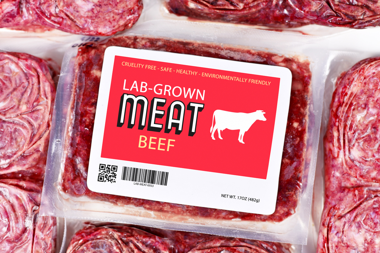in-vitro-Rindfleisch