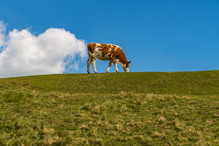 Methan Klimawandel