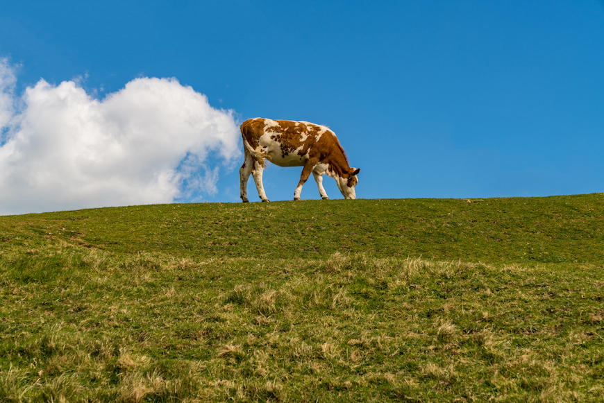 Methan Klimawandel