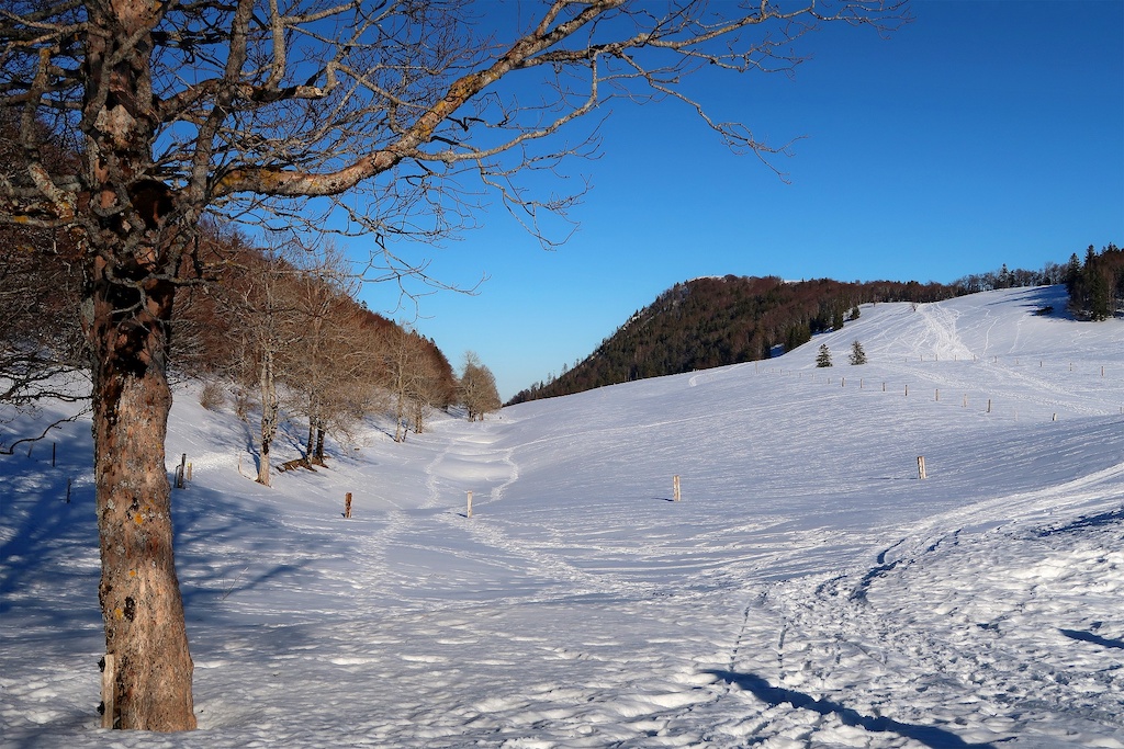 Schneewanderung Weissenstein