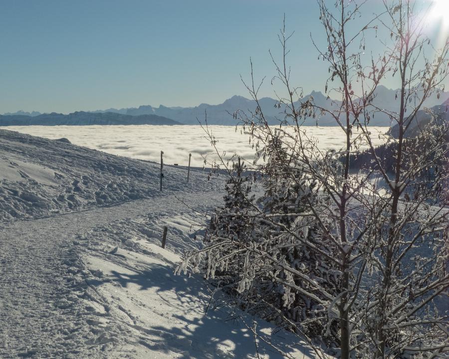 Winterwandern Gantrisch