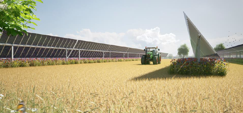 Solarpanels Feld