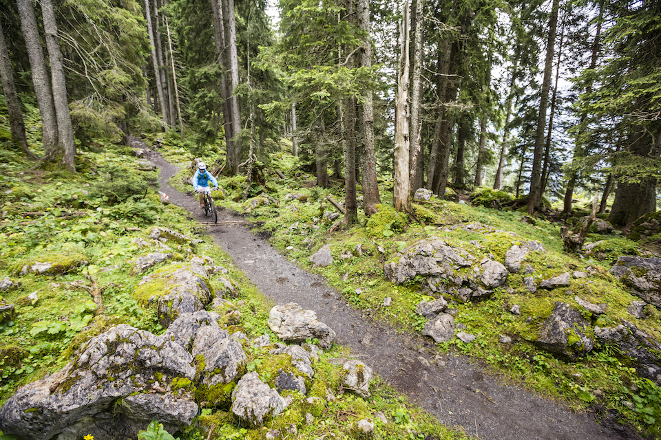 Single-Trail nachhaltig
