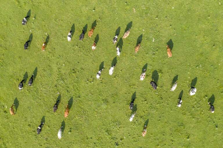 Essen Biodiversität