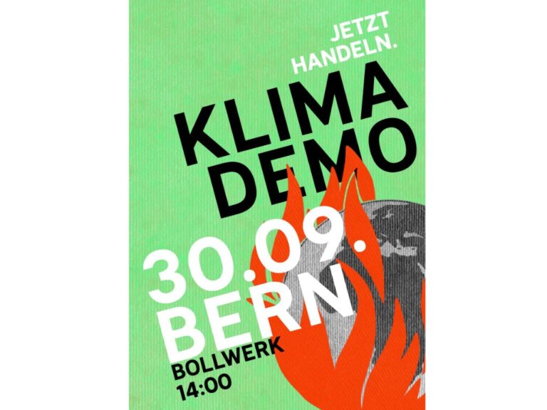 Klimademo