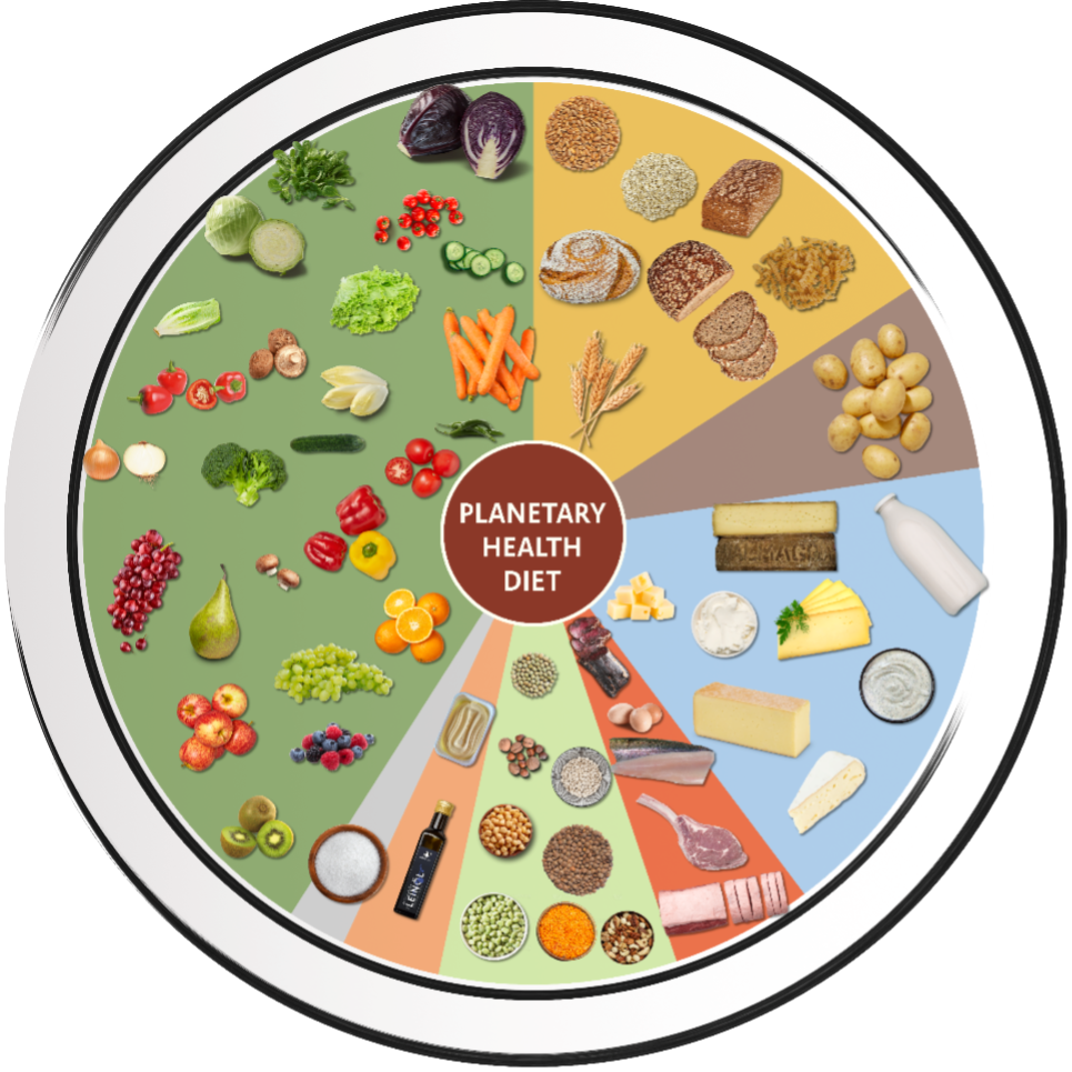 Planetary Health Diet Schweiz