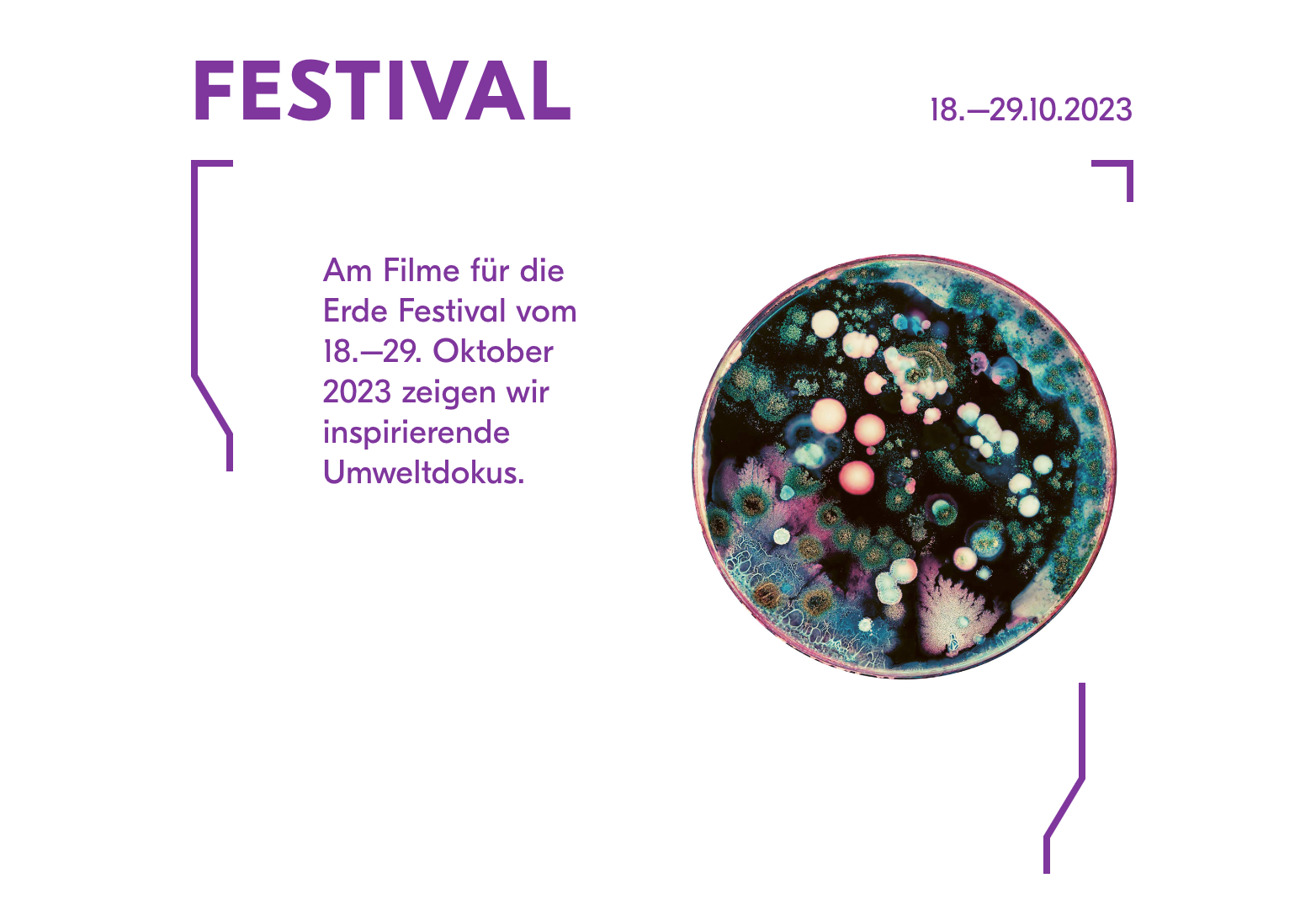 Filme für die Erde Festival