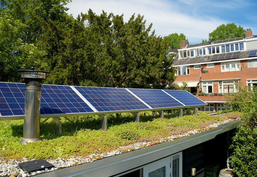 PV Anlage Begrünung