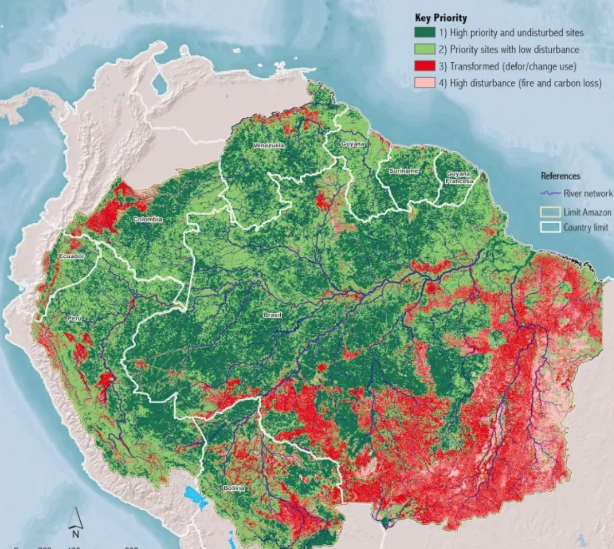 Amazonas Abholzung