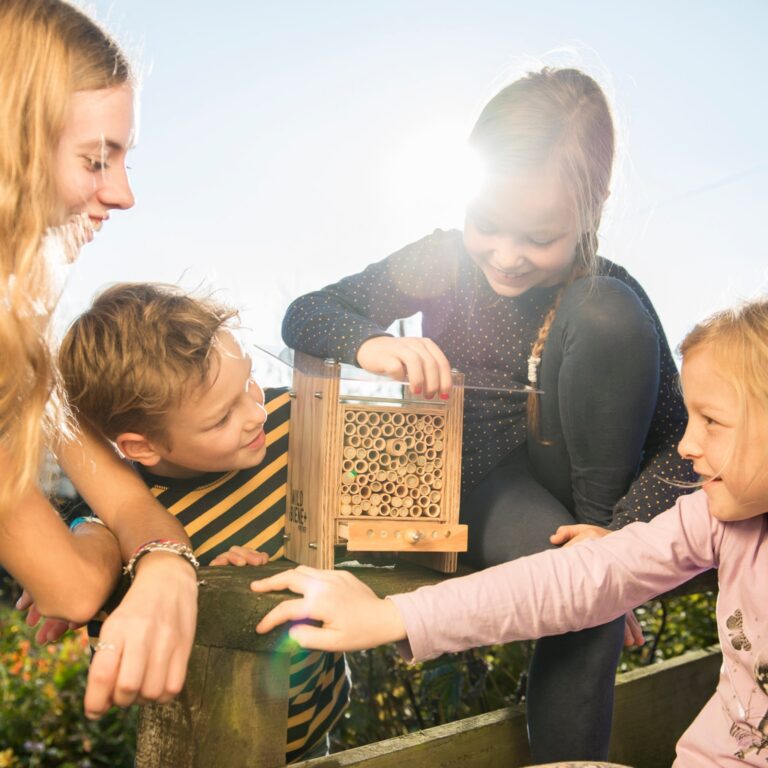 Wildbienen-Häuschen