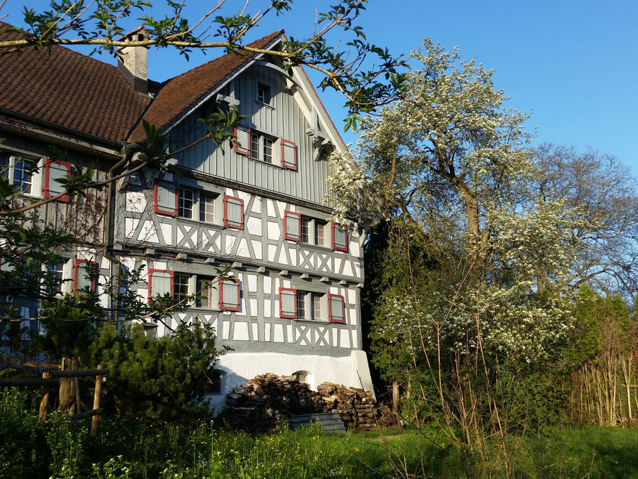 Veganes Hotel Moosmühle