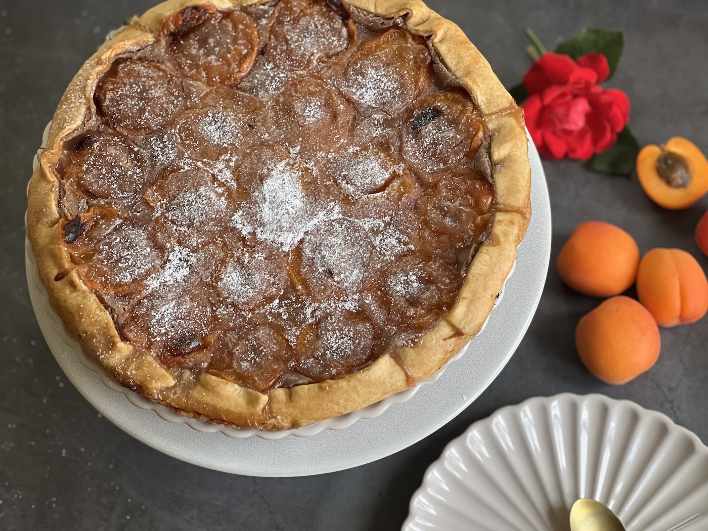 Aprikosenwähe-Rezept