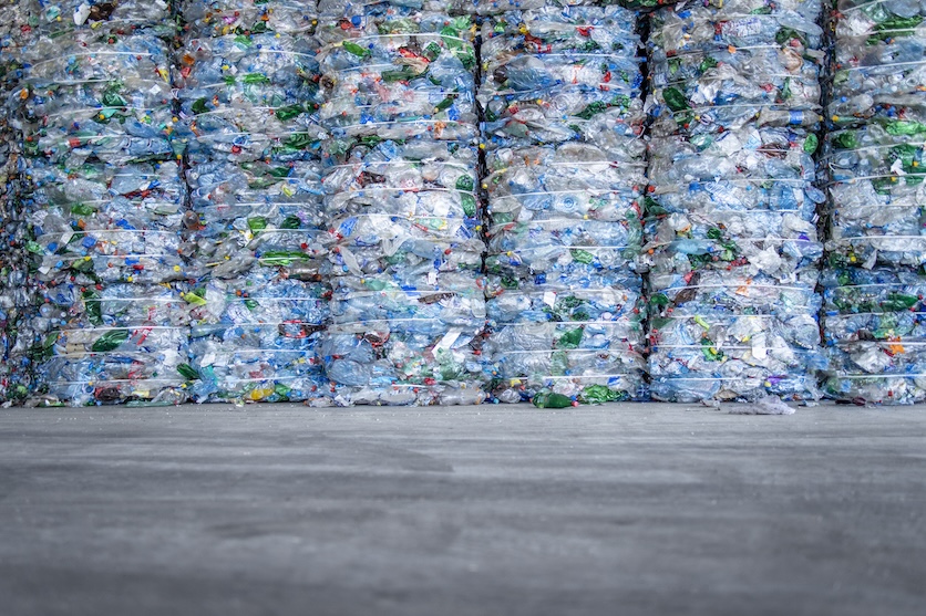 Pet-Recycling