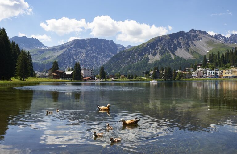 Arosa fossilfrei