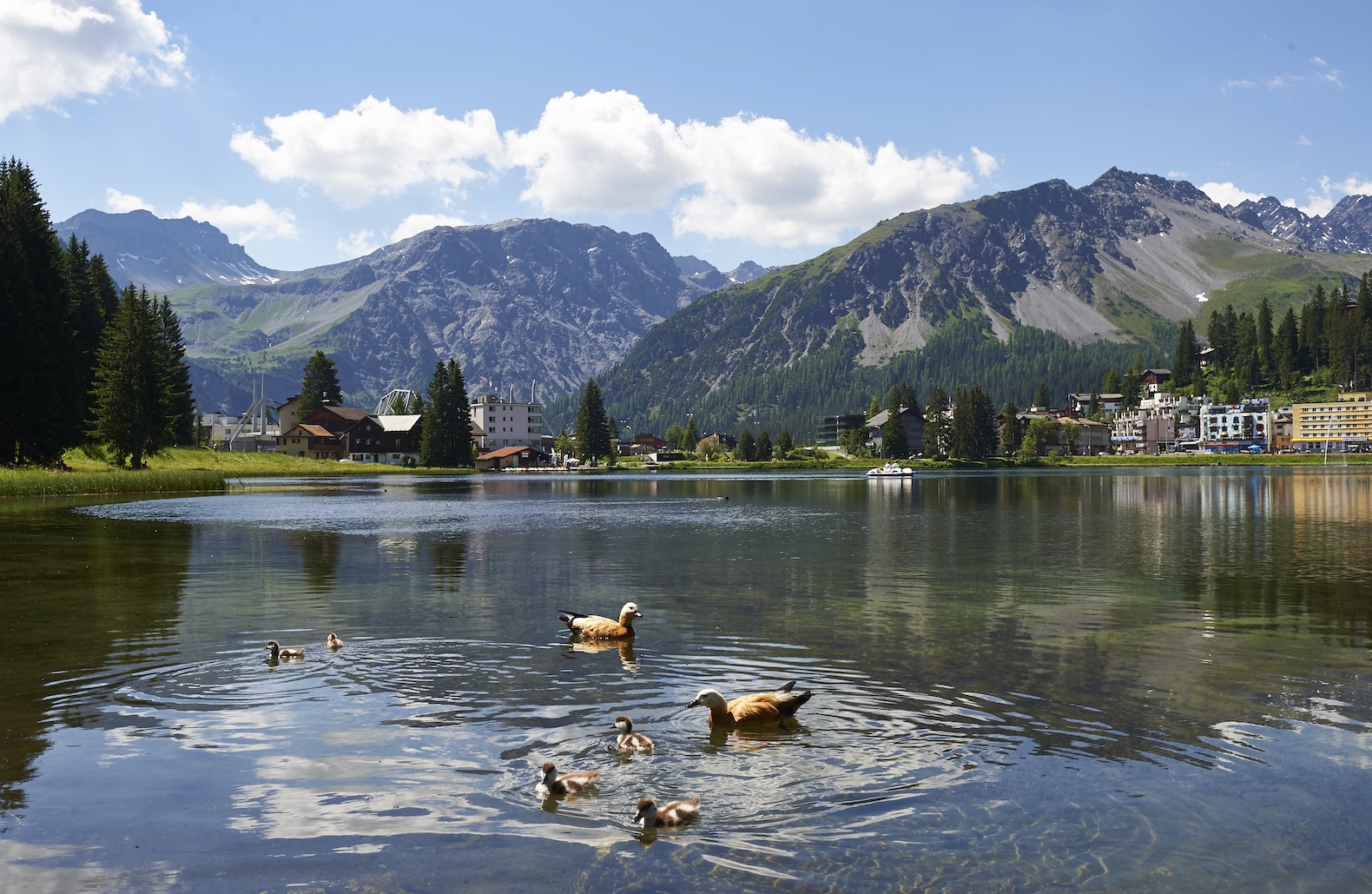 Arosa fossilfrei