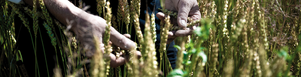 Regenerative Landwirtschaft Electrolux