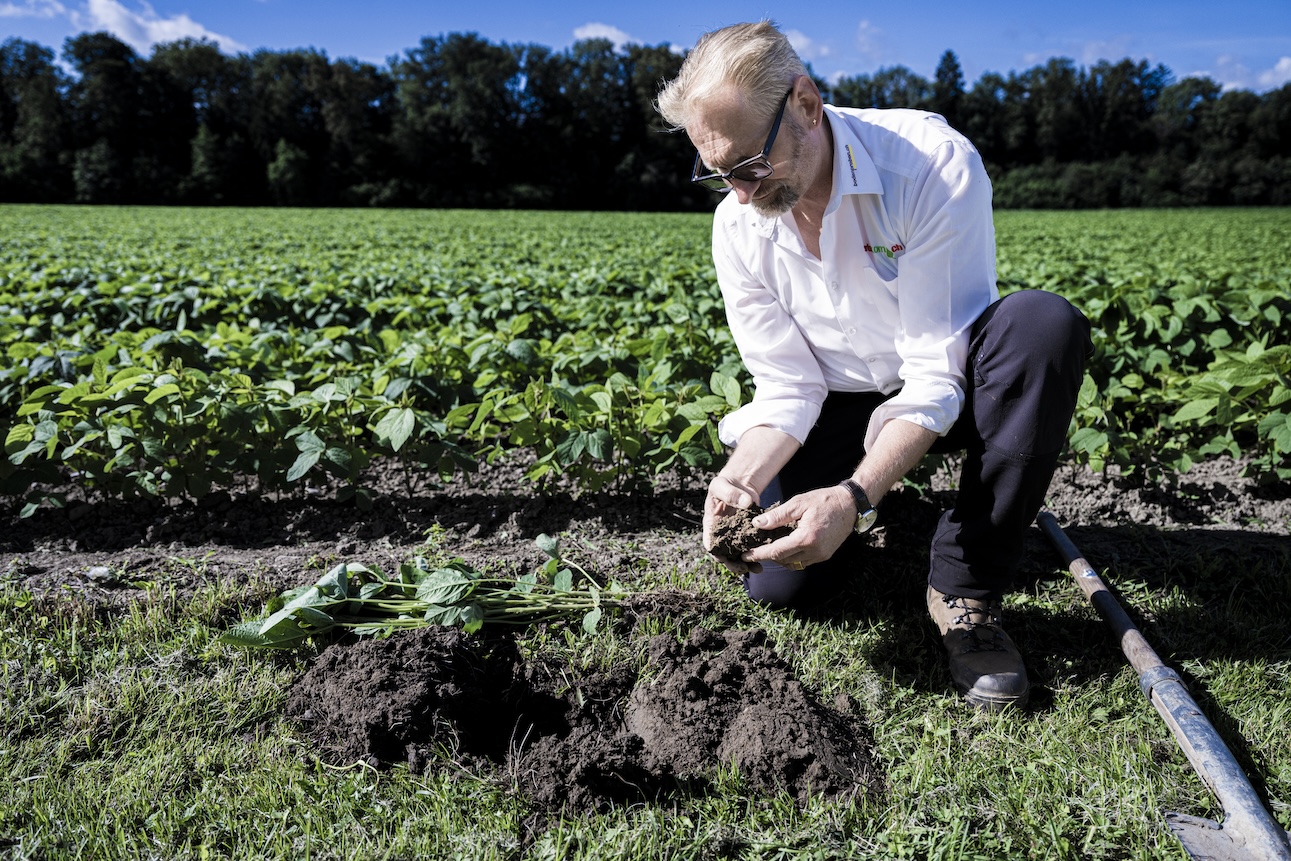 regenerative Landwirtschaft