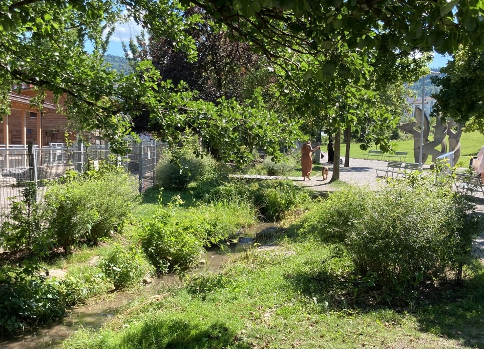 Schwammstadt