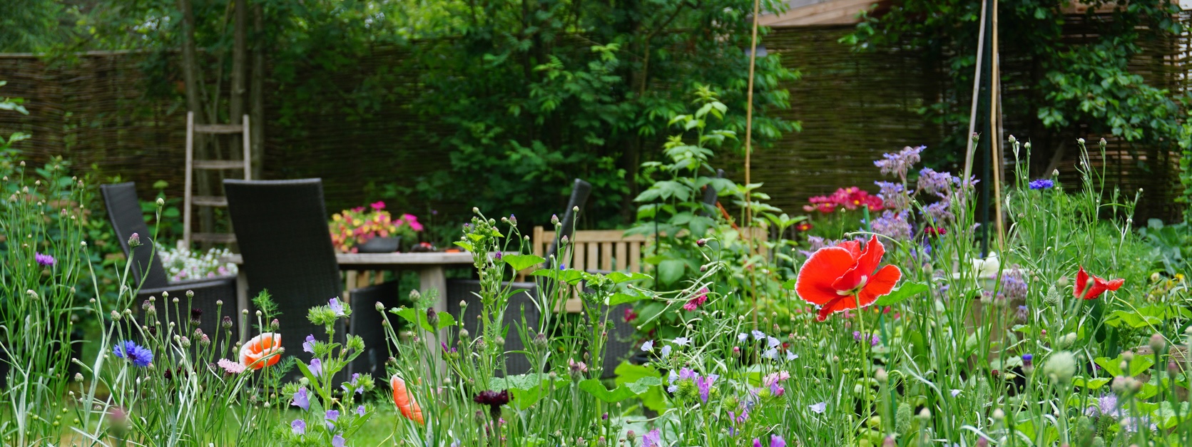 Biodiversität Garten