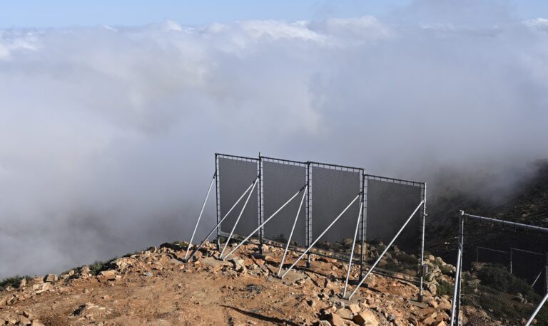 Nebel Trinkwasser