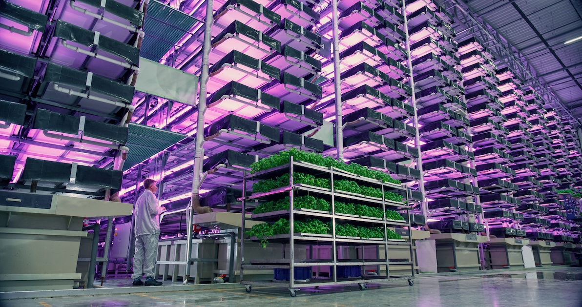 vertical Farming